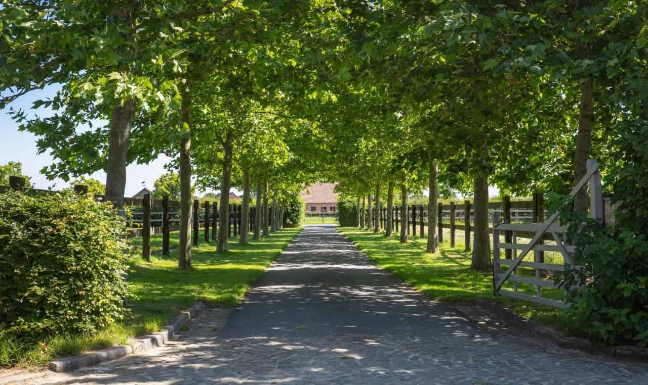Het Spechtennest Zedelgem Buitenkant foto